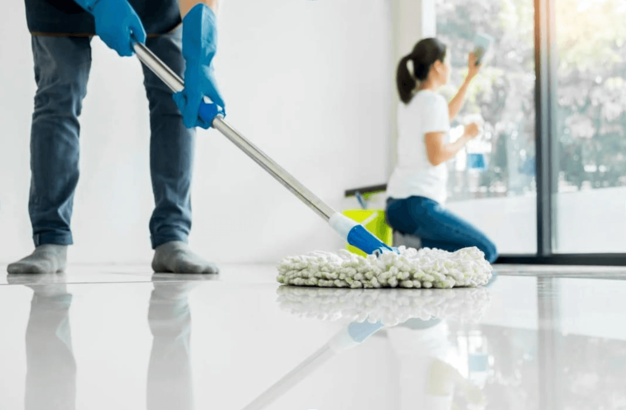 Window and Mirror Cleaning